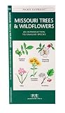 cover of Missouri Trees & Wildflowers: An Introduction to Familiar Species (State Nature Guides)