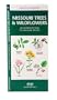 Missouri Trees & Wildflowers: An Introduction to Familiar Species (State Nature Guides)
