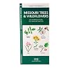 Missouri Trees & Wildflowers: An Introduction to Familiar Species (State Nature Guides)