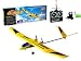 Oriole RC Twin Engine Airplane Glider Plane