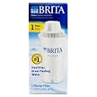 Brita Pitcher Filter