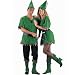 Robin Hood Adult Costume