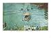 Niagara Falls, Canada - Cable Car Crossing the Whirlpool Giclee Poster Print