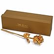 24k Gold Dipped Real Rose