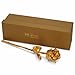 24k Gold Dipped Rose
