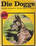 Die Dogge (dein hund)