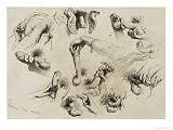 Studies of Masturbation, Plate 40 of 'Liebe Giclee Poster Print by Mihaly von Zichy, 24x18