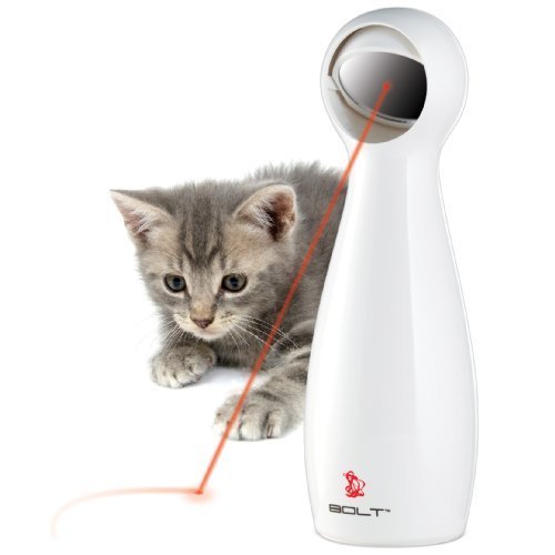 cat toy