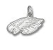 NFL Philadelphia Eagles Sterling Silver 5/16 Eagles Head Pendant