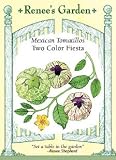 Mexican Tomatillo Seeds - Two Color Fiesta