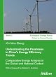 Understanding the Paradoxes in China's Energy Efficiency Trends: Comparative Energy Analysis in the Global and National Context. With a foreword by Nathan E. Hultman