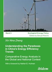 Understanding the Paradoxes in China's Energy Efficiency Trends: Comparative Energy Analysis in the Global and National Context. With a foreword by Nathan E. Hultman