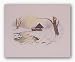Nesting Place by Howard Burger 11"x14" Art Print Poster