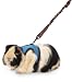 Super Pet Ferret Comfort Harness and Stretchy Medium Leash, Colors Vary