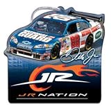Dale Earnhardt Jr Nascar Ornament