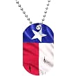 Tattered Puerto Rican Flag Dog Tag Necklace