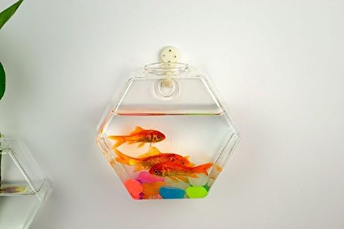 Small glass vase Creative fish tank /Aquarium(include hook +vase) (style5, small)