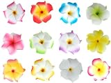 Bundle Monster Hawaiian Plumeria Flower Foam Hair Clip Accessory Set 12 Jewelry 41PjR3I7F%2BL. SL160 Bundle Monster Hawaiian Plumeria Flower Foam Hair Clip Accessory Set 12 Jewelry