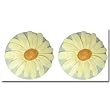 Sunflower Escape Daisy Drawer Pulls or Knobs