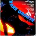Rare Groove: 32 Dynamic Disco Hits