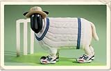 Viv - Cricket Ram