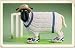 Viv - Cricket Ram - FREE SHIPPING