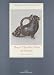 Museo Claudio Faina DI Orvieto: Ceramica a Vernice Nera (Catalogo regionale dei beni culturali dell'Umbria) (Italian Edition)
