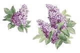 Wallies LILAC Lilacs flowers cut Wallpaper DECOR border