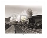 Princess Alice Art Poster Print by Eric Treacy, 20x16