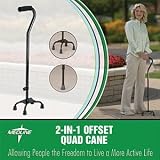 Interchangeable Base 2 IN 1 Offset Handle / Quad Cane Interchangeable Base 2 IN 1 Offset Handle / Quad Cane