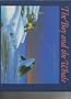 The Boy and the Whale: A Christmas Fairy Tale
