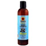 Tropic Isle Jamaican Black Castor Oil Shampoo, 8 Ounce