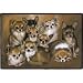 Chihuahuas Family Dogs Puppies Indoor / Outdoor Designer Doormat