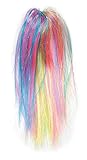 WeGlow International Rainbow Ponytail Hair Extensions, 2 Extensions