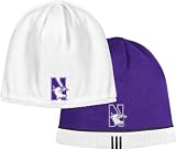 Northwestern Wildcats 2009 Player Sideline Reversible Knit Hat