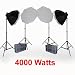 ePhoto 4000 Watt Digital Video Film Continuous Light Set Lighting Kit with 2 Carrying Case - 4 Light Stands, 4 Softboxes, 4 Light Heads, 20 Perfect Daylight Bulbs by ePhoto INC VL9058x2