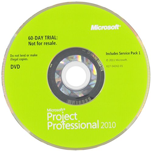 information technology project management