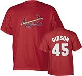 Bob Gibson St. Louis Cardinals Cooperstown Throwback Player Name and Number T-Shirt