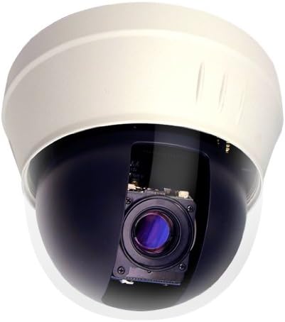 PN65HZD-H 10X Optical Zoom P/T/Z Dome Camera 500 Lines