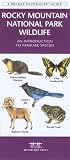 Rocky Mountain National Park: An Introduction to Familiar Species (Pocket Naturalist)