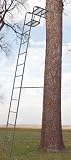 Guide Gear® 15' Ladder Tree Stand