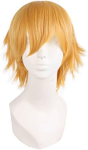 Bijoux Short Straight Fiber Cosplay Wig Halloween Costume Hair (C2)