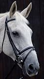 picture of Caldene Padded German Bridle