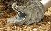 rain spout alligator statue gutter sculpture down drain