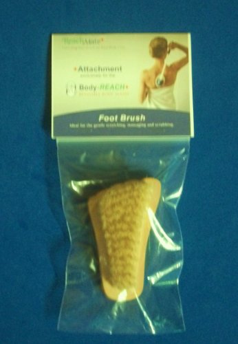 Foot Brush - Attachment
