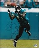 Reggie Williams Autographed/Hand Signed Jacksonville Jaguars 8x10 Photo