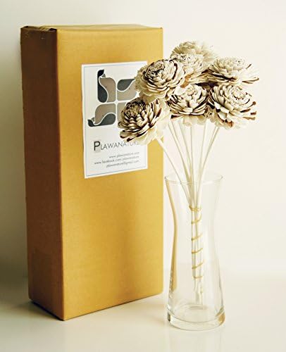 10 Wood Jasmine Sola Flower for Aroma Reed Diffuser Home Fragrance by Plawanature