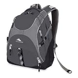 High Sierra Access Backpack (20 x 15 x 9.5-Inch, Gray Print)