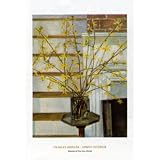 (24x36) Charles Sheeler Spring Interior Art Print Poster