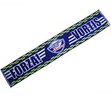 FLAGS TOWN徳島ヴォルティス・タオルマフラー(FORZA!)